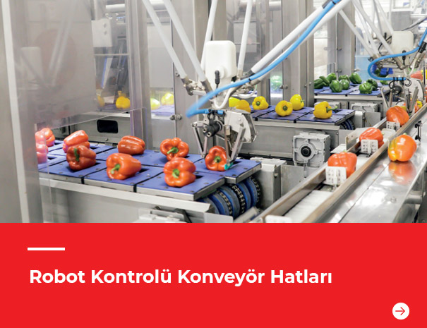 Robot Kontrolü Konveyör Hatları RED