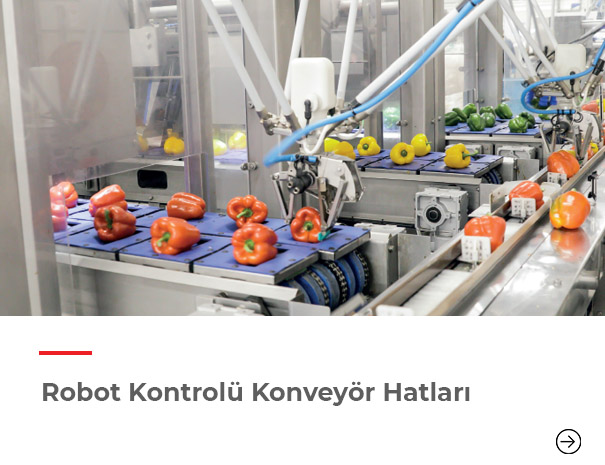 Robot Kontrolü Konveyör Hatları